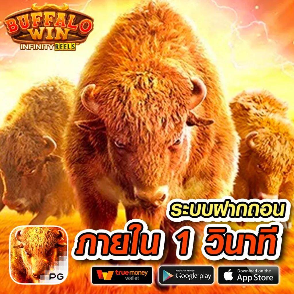 7mcn live scores 2in1 คาสิโนสดใหม่ เดิมพันง่าย ได้เงินจริงล่าสุด