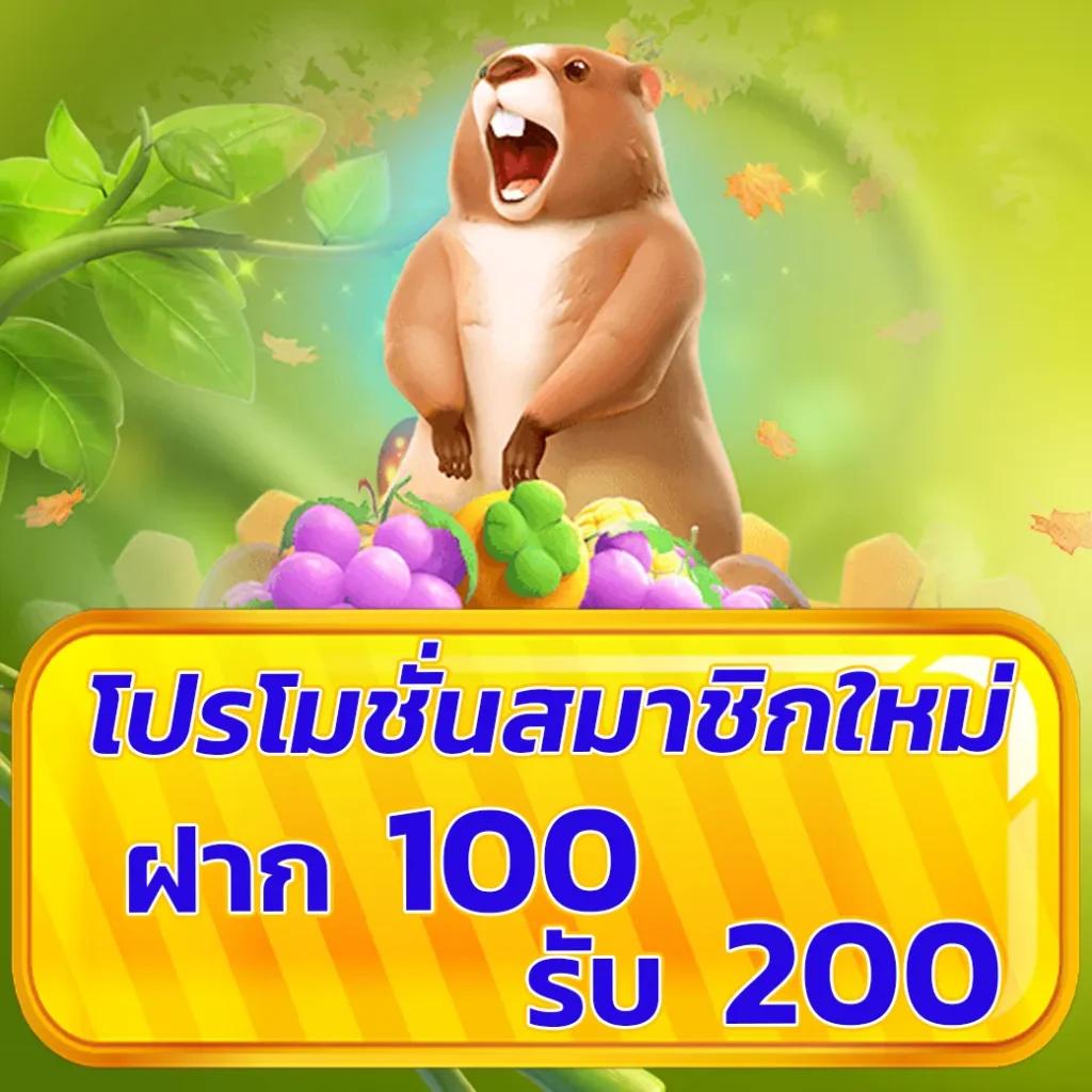 zeed wallet คาสิโนออนไลน์ ฝากถอนรวดเร็ว ปลอดภัย 2024